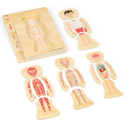 Bigjigs Anatomy Puzzle - Boy