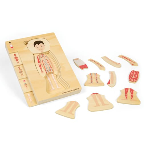 Bigjigs Anatomy Puzzle - Boy