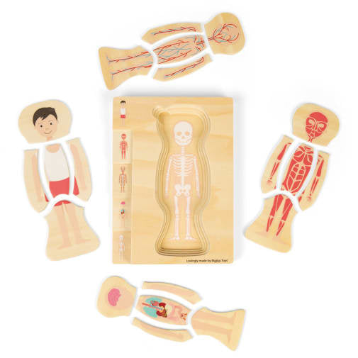 Bigjigs Anatomy Puzzle - Boy