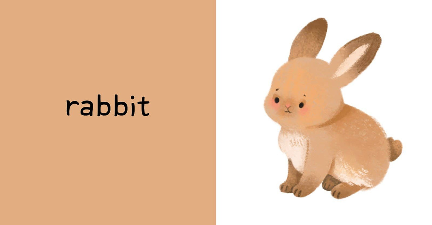 My First Words: 15 Clever Mini Board Books